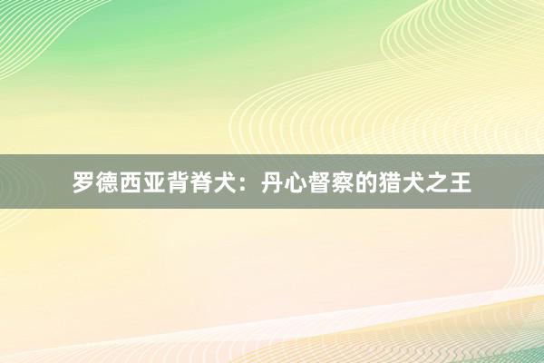 罗德西亚背脊犬：丹心督察的猎犬之王