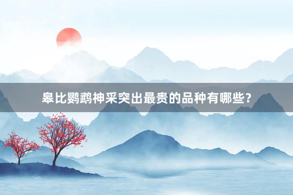 皋比鹦鹉神采突出最贵的品种有哪些？