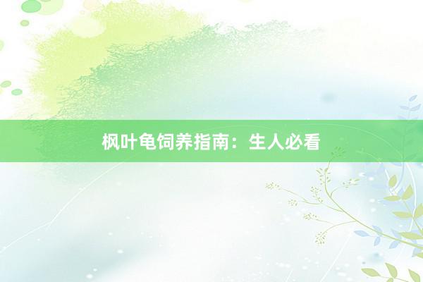 枫叶龟饲养指南：生人必看