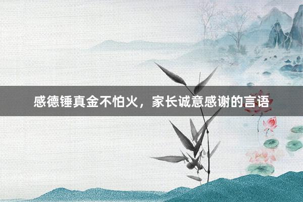感德锤真金不怕火,家长诚意感谢的言语
